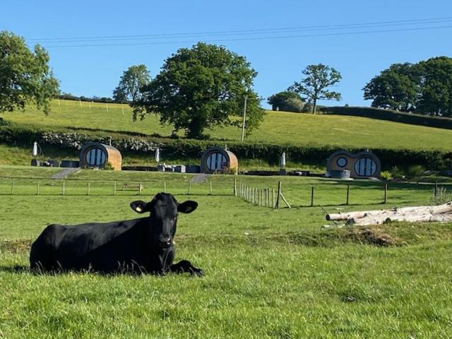 Great House Farm Luxury Pods And Self Catering Camping
